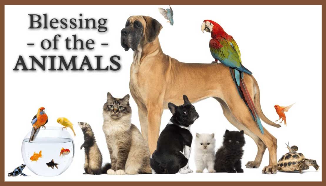 You are currently viewing The Blessing of the Animals (Online)