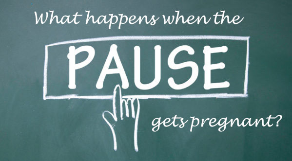 You are currently viewing What Happens When the Pause Gets Pregnant? (Online Summer Service)