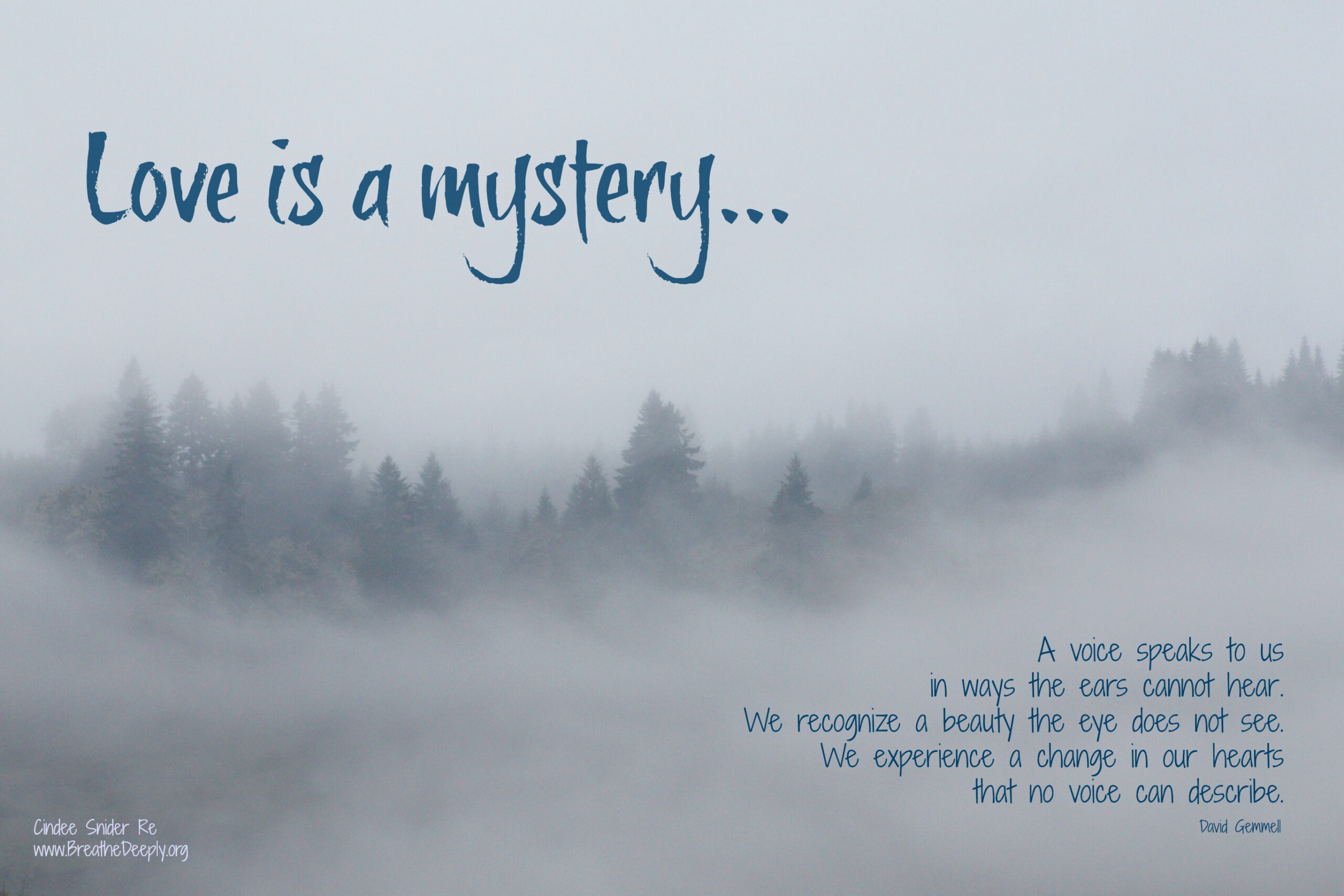 Read more about the article Finding Love in the Gift of Mystery (In Person and Online)