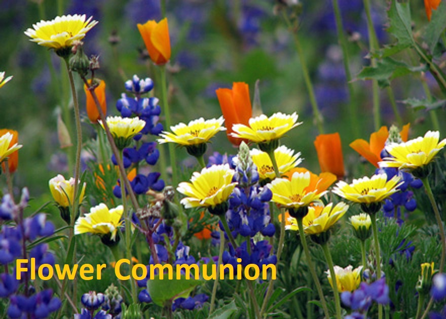 Read more about the article Flower Communion (In Person and Online)